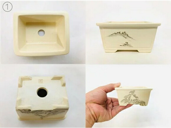 山水3.5号 4点セット 鉢幅約10～11cm×奥行約8～9cm×高さ約5cm