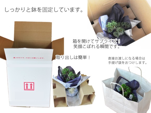 敬老の贈り物