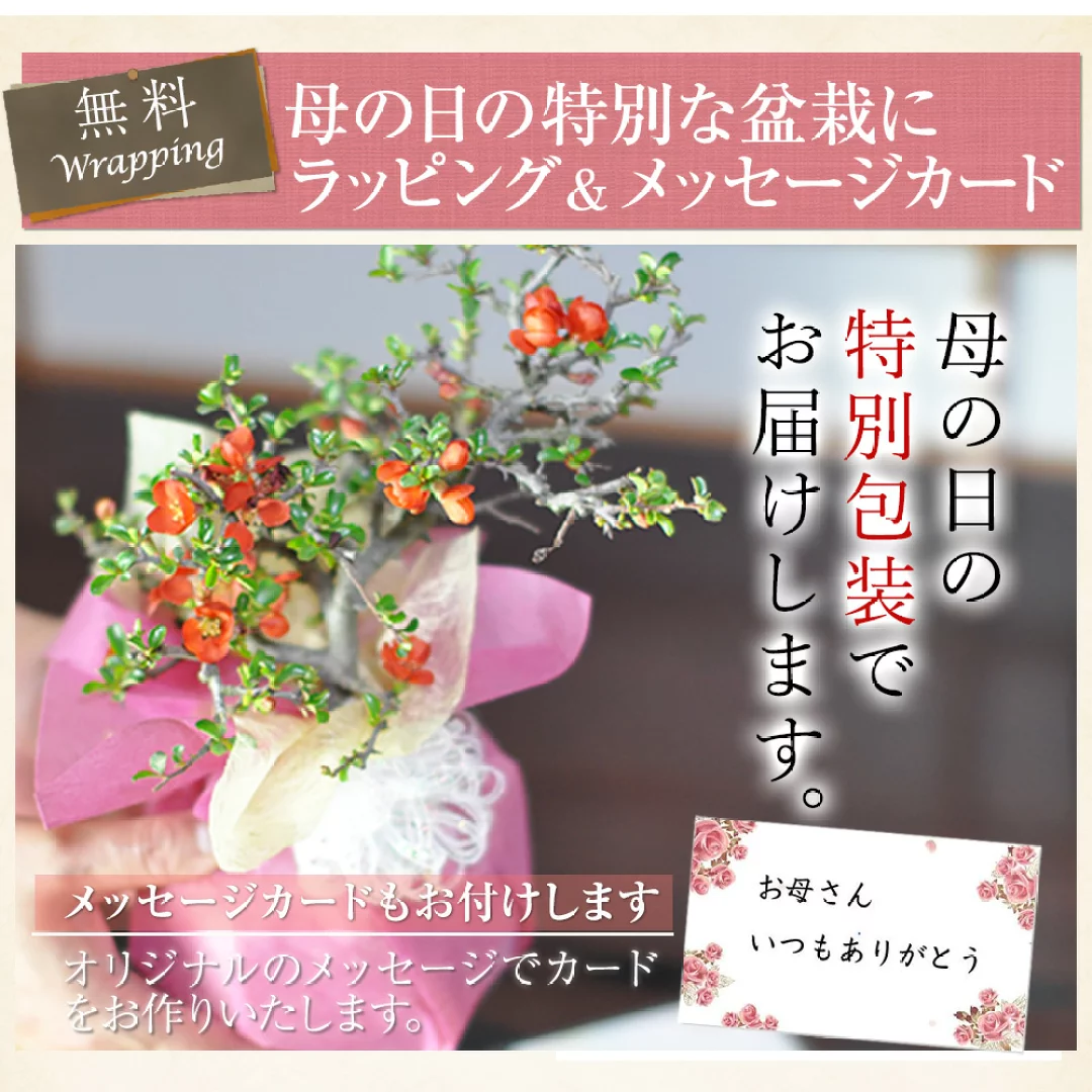 母の日ラッピング
