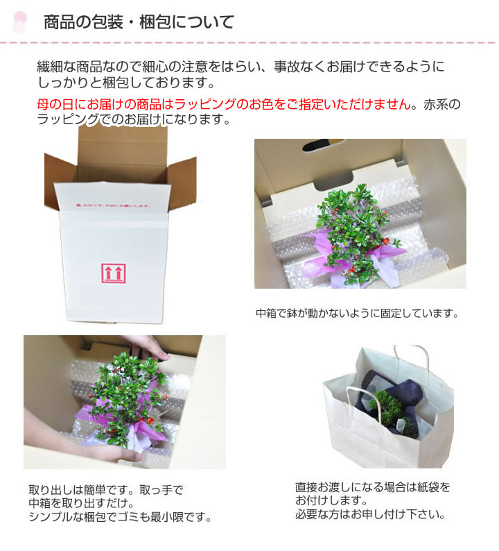 藤