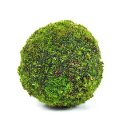  Moss ball 14cm