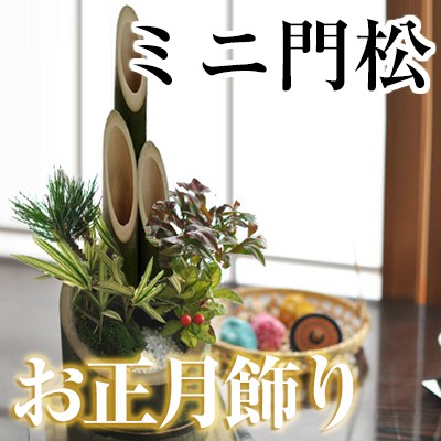 ミニ門松 寄せ植え お正月飾り 盆栽職人仕立ての門松新年 開運 天然