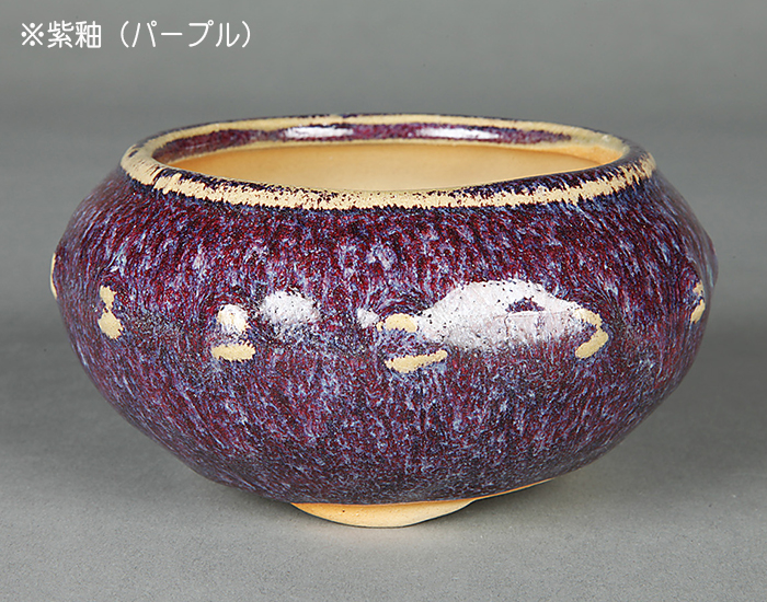 盆栽鉢 「広東色小鉢」 植木鉢 中国鉢 色小鉢 4号 11.5cm 小品