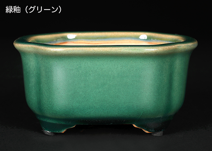 落款有り　長方　青　盆栽鉢 盆栽鉢 広東隅切長方鉢 石峰雨竹 植木鉢 陶器 落款あり 3.5号 10cm