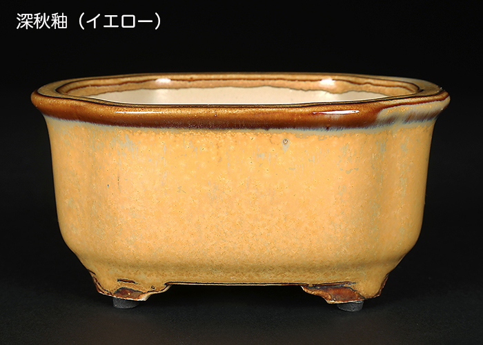 盆栽鉢 広東隅切長方鉢 石峰雨竹 植木鉢 陶器 落款あり 3.5号 10cm