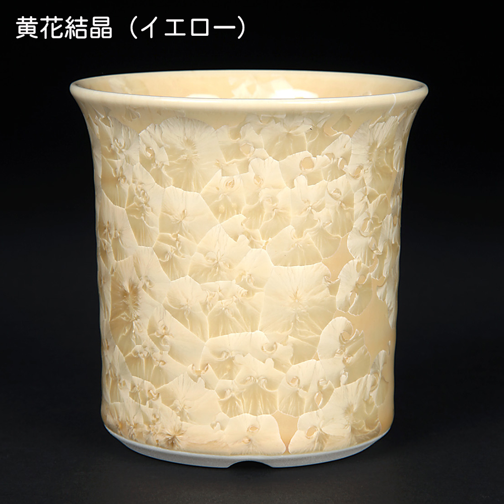 鉢 中野行山の商品一覧 通販 - Yahoo!ショッピング