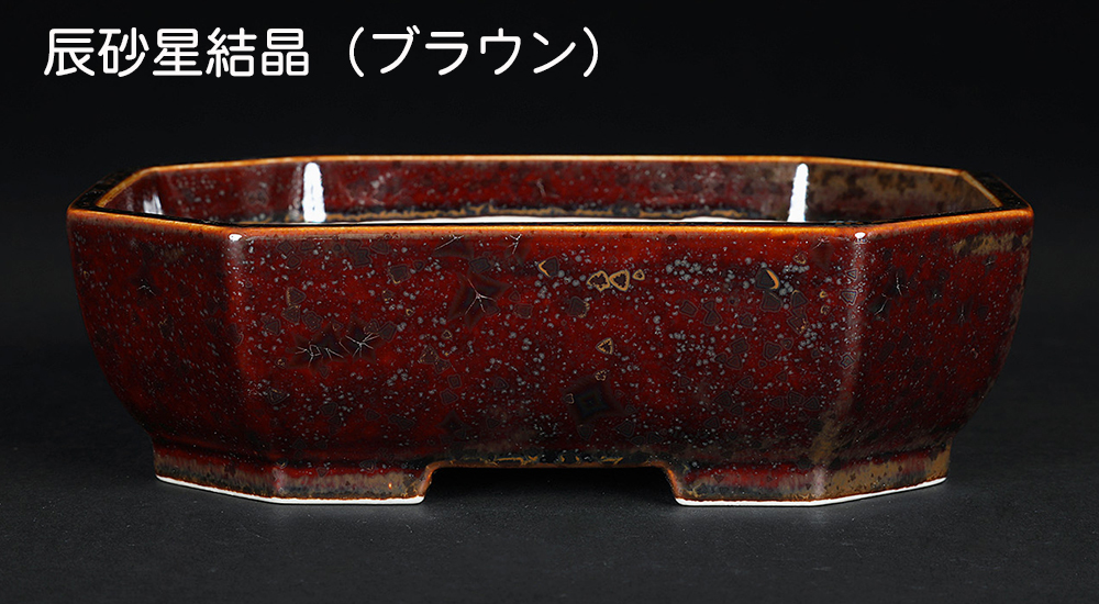 盆栽鉢 京焼 清水焼 平安泉山隅切長方鉢5.5号 小品盆栽 ミニ盆栽 陶