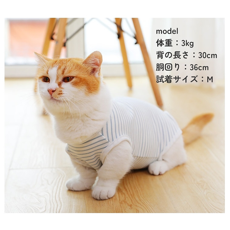 babythree　ノーマルセット　洋服着た猫シリーズ 21y0070m.jpg