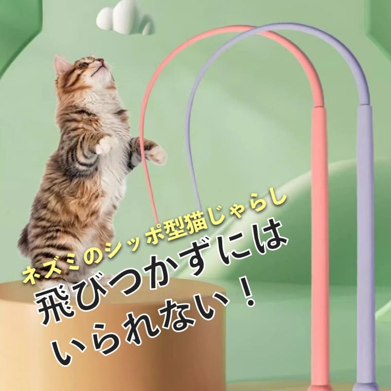 ねこじゃらし 51MEQ9+ZP8L._UF350,350_QL50_.jpg