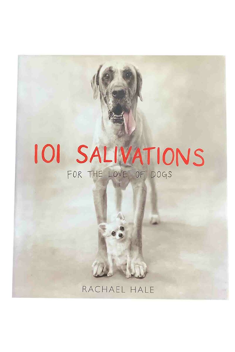 101 SALIVATIONS FOR THE LOVE OF DOGS RACHEL HALE