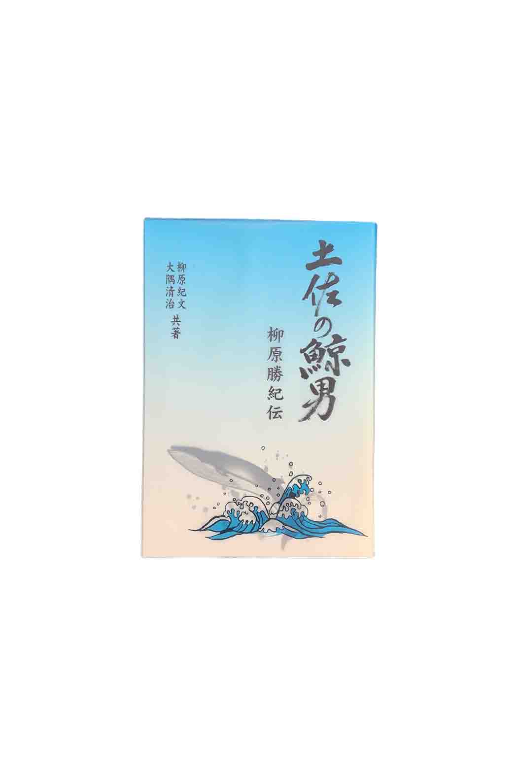 ںηˡ/建ॺ/ʸ