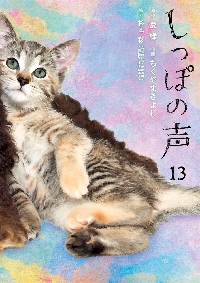 新品/全巻セット　しっぽの声　1-13巻セット　コミック　小学館