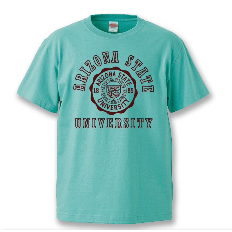 Tシャツ 半袖 メンズ カレッジ プリントTシャツ 大きいサイズ