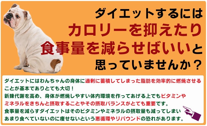 bosch(ボッシュ)ハイプレミアムミニライトドッグフード