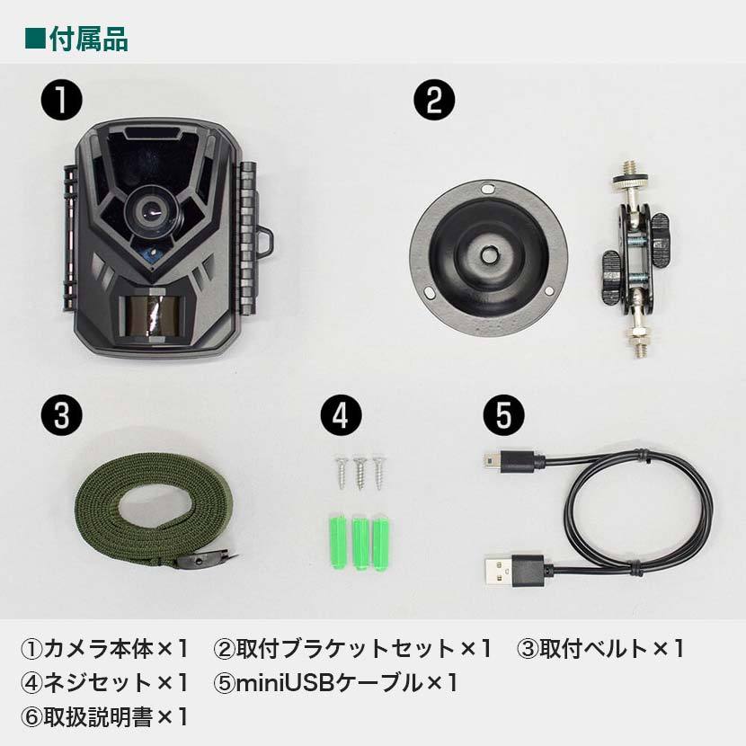 キャロットシステムズ 防犯カメラ トレイル ソーラー 乾電池 人感