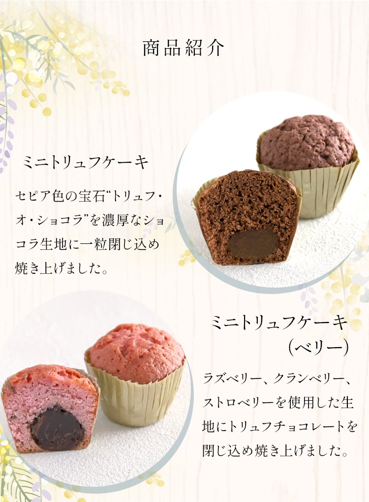 ブールミッシュ（BOUL'MICH） お返し 御礼 B-SAN スイーツ・アソートN