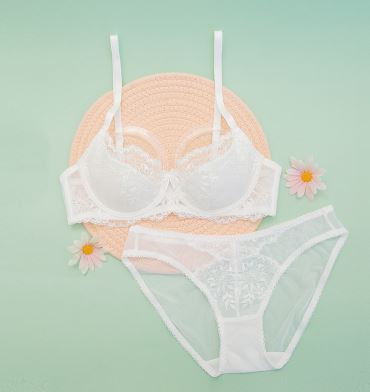 ブラジャー＋ショーツセット4色 通年 下着 インナー アンダー