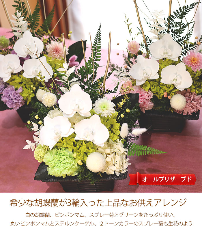 特選仏花 お供え花 胡蝶蘭 花瓶付き 大 一対 造花無し