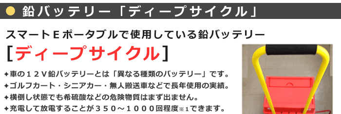 スマートＥポータブルSEP-1000