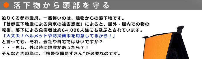 フルアクトＡ4