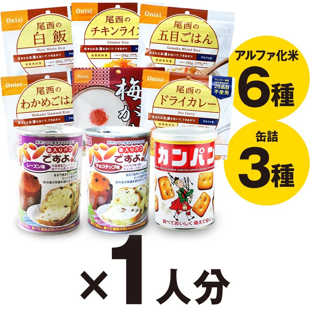 非常食 保存食セット 3日分 1人用（備蓄食料 アルファ米 カンパン パン