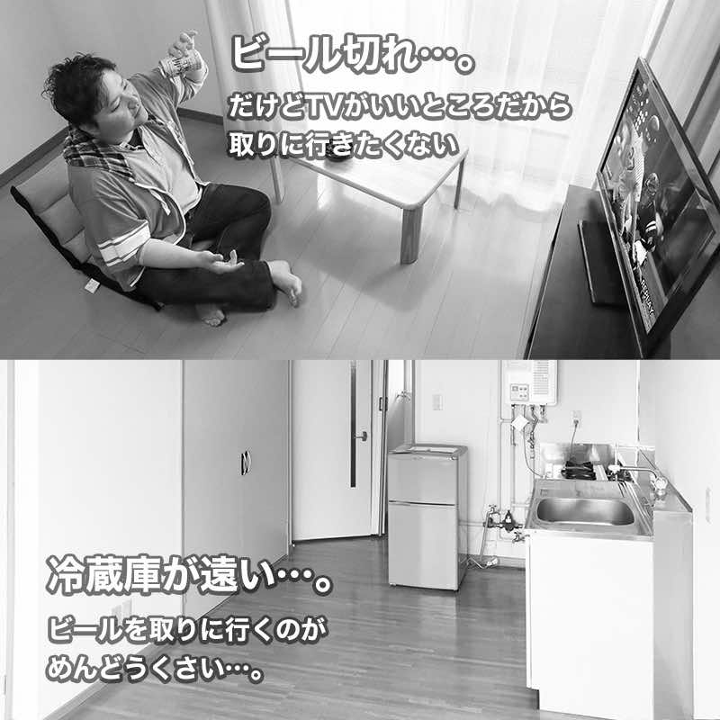 冷温庫　日本代表 どこでも使える ポータブル冷温庫 保冷庫 保温庫 バッテリー別売