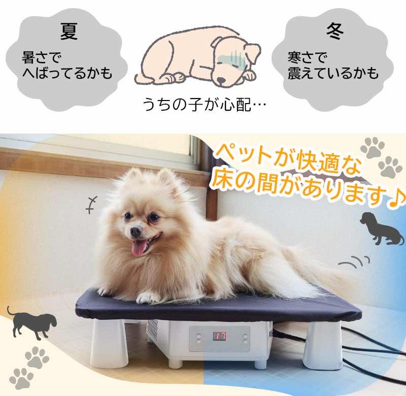 ペット ひんやり 暑さ対策 温冷 猫 犬 室内 熱中症 ペルチェ ひんやり