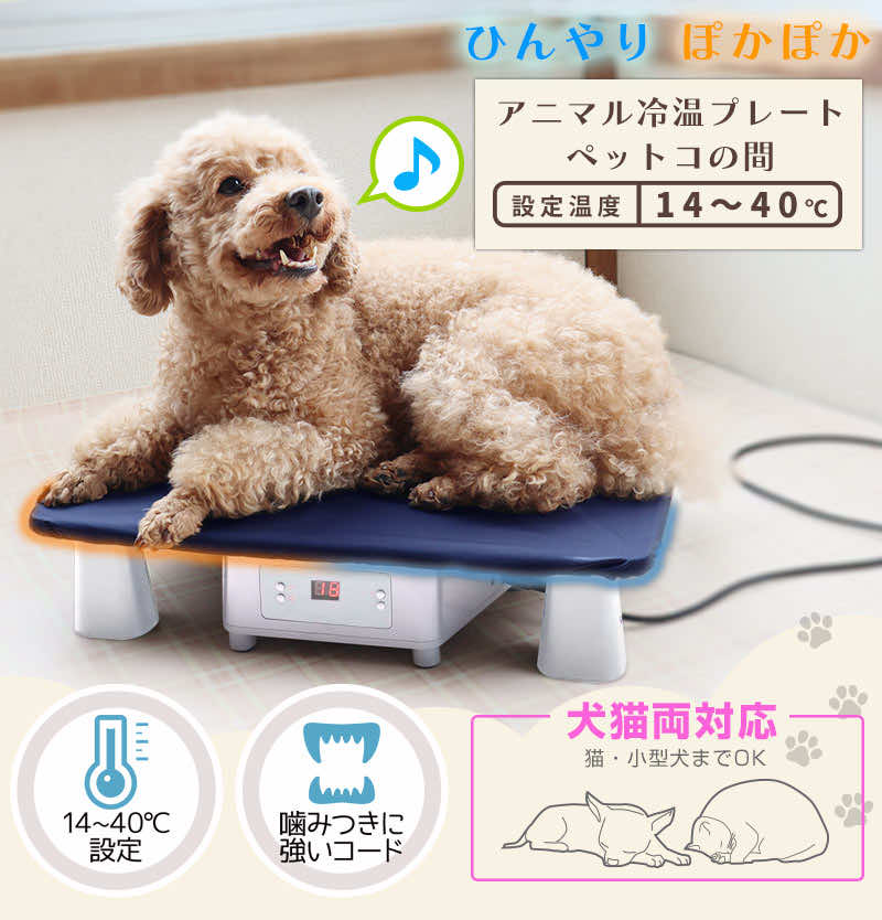 ペット ひんやり 暑さ対策 温冷 猫 犬 室内 熱中症 ペルチェ ひんやり