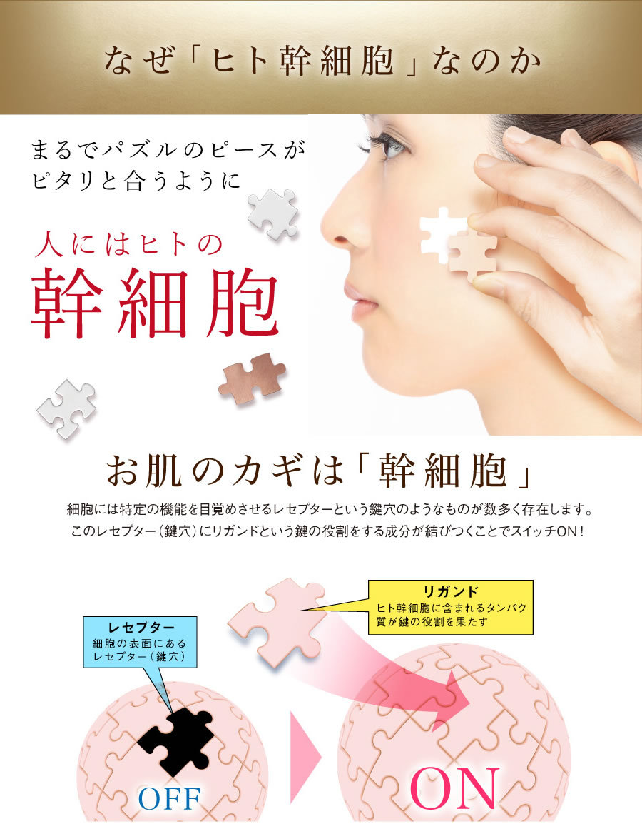 送料無料】セルラッシュ美容液 20ml エイジングケア ヒト幹細胞培養液