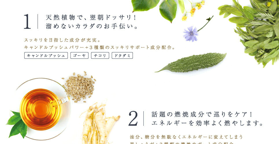 通販 ダイエット茶 黒五葉茶ゴールド 30包 ダイエット お茶 烏龍茶 キャンドルブッシュ茶 commonstransition.org