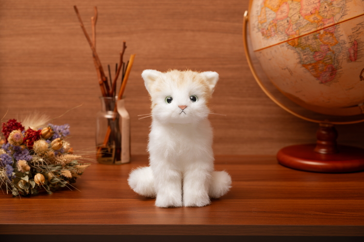 あほねこ 乗ってく？