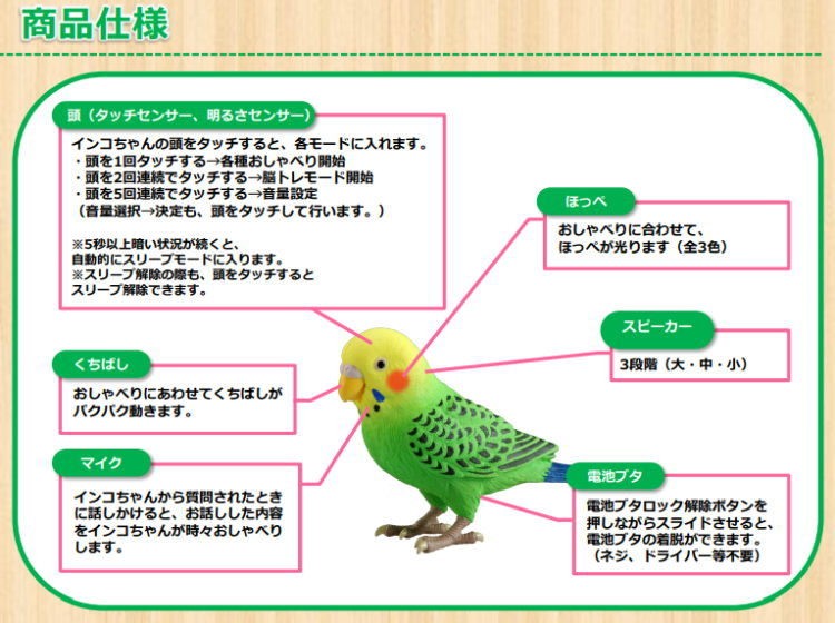 期間限定特典付！】毎日おしゃべり 天才インコちゃん 楽しくお話しお歌