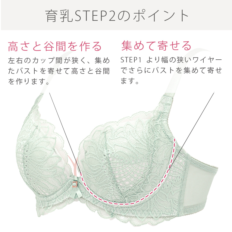 BRADELIS NewYork 育乳ブラ ブラジャー下着 補整 補正 谷間