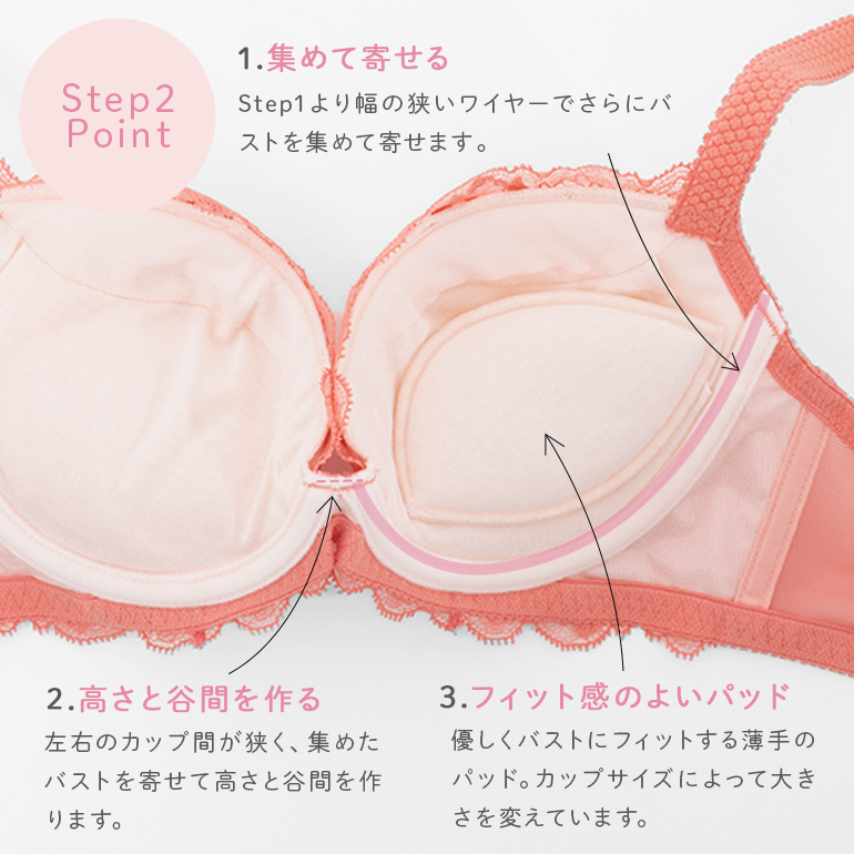 BRADELIS NewYork 育乳ブラ ブラジャー下着 補整 補正 谷間