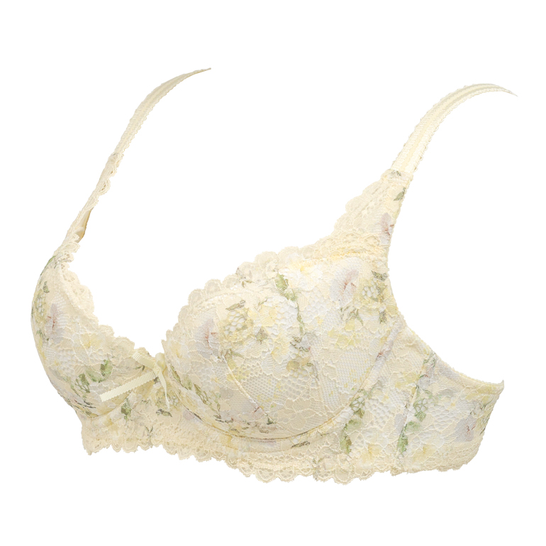 BRADELIS NewYork 育乳 育乳ブラ ブラジャー下着 補正 bradelis