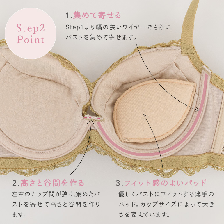 ブラジャー ブラ 下着 補整 補正 谷間 育乳 バストアップ ブラデリス BRADELIS bradelis BRNY ブラデリス ナオミステップ2ブラ24A1 ナオミタイプ 0417slの画像