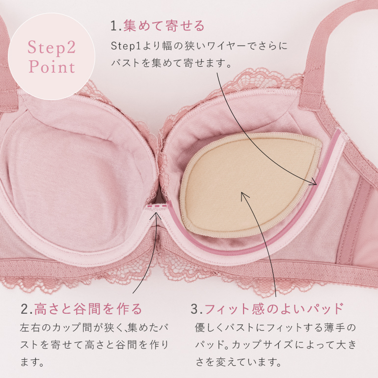 BRADELIS NewYork 育乳ブラ ブラジャー ブラ 脇高 下着 補整