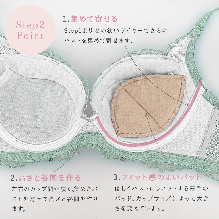 BRADELIS NewYork 育乳ブラ ブラジャー ブラ 下着 育乳 脇高