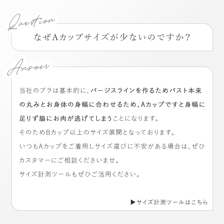 育乳ブラ ブラジャー ブラ 下着 脇高 バストアップ グラマー 大きいサイズ 育乳 補整 補正 谷間 BRADELIS ブラデリス ベルステップ2ブラ25A1 ベルタイプの画像