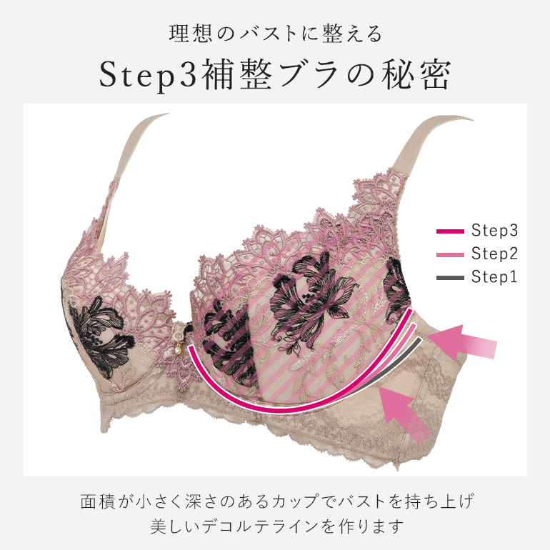 育乳ブラ ブラジャー 下着 補整 補正 谷間 バストアップ ブラデリス BRADELIS bradelis BRNY ブラデリス ヴィオラステップ3ブラ25A1 ヴィオラタイプの画像