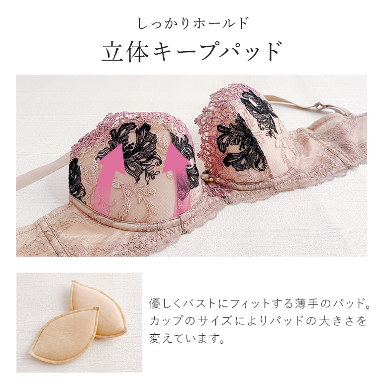 育乳ブラ ブラジャー 下着 補整 補正 谷間 バストアップ ブラデリス BRADELIS bradelis BRNY ブラデリス ヴィオラステップ3ブラ25A1 ヴィオラタイプの画像