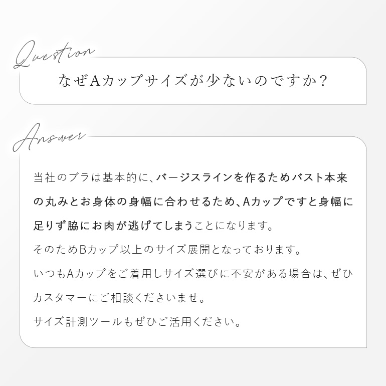 育乳ブラ ブラジャー レディース ブラ 下着 大きいサイズ 補正 脇高 谷間 バストアップ BRADELIS ブラデリス ジャクリーンステップ3ブラ25A1 ジャクリーンタイプの画像