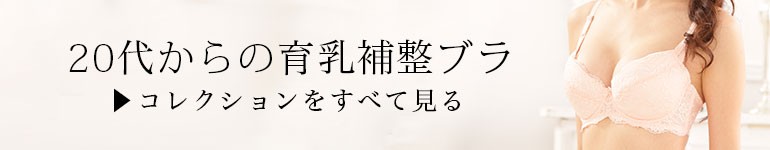 育乳補整ブラ