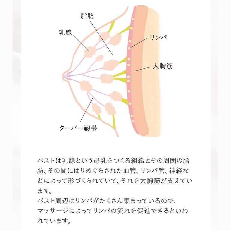 化粧品 コスメ ボディクリーム  バストクリーム ブラデリスニューヨーク バストケアマッサージクリーム ハリ 弾力 胸 潤い 美胸 乾燥｜bradelisny｜09