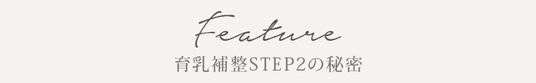 ステップ2