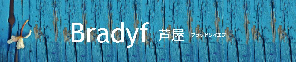 Bradyf-芦屋-ブラッドワイエフ ヘッダー画像