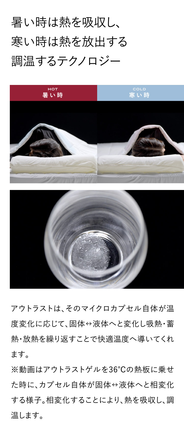 ブレインスリープ 掛け布団 布団 コンフォーター オールシーズンズ