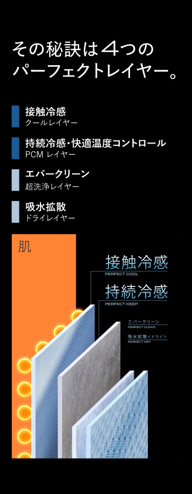 BRAIN SLEEP] ブレインスリープ コンフォーター パーフェクト クール