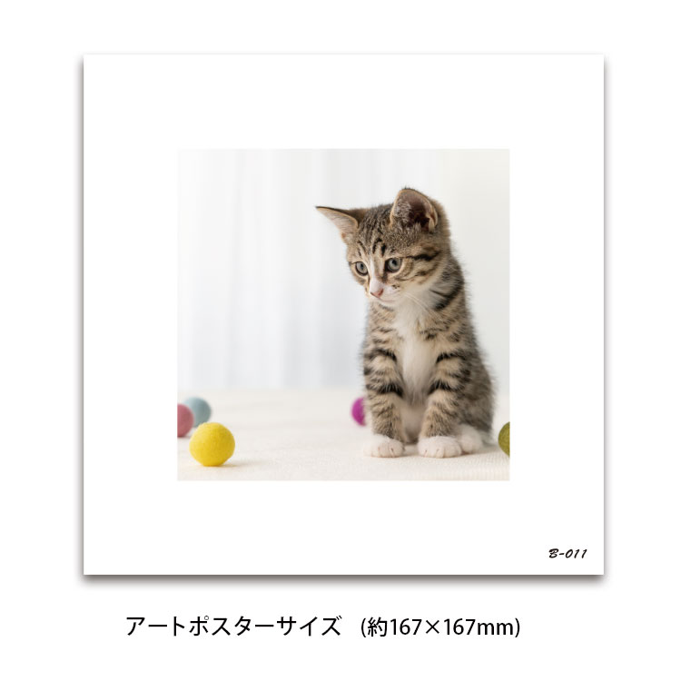 飾るアート非常用トイレ