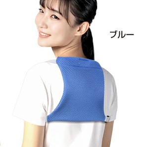 背中ひんやり保冷リュック BR-527 2025年モデル 保冷剤を入れてひんやり冷やせる 背中ひんやり保冷リュック ハード保冷剤1個付 ブレイン |  | 01